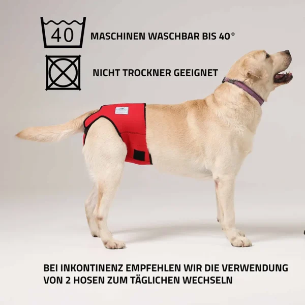 L Ufigkeitshose Und Inkontinenzhose F R Hunde Pfaff Nature Pet