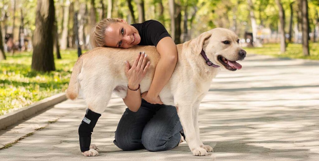 Sprunggelenkbandage für Hunde